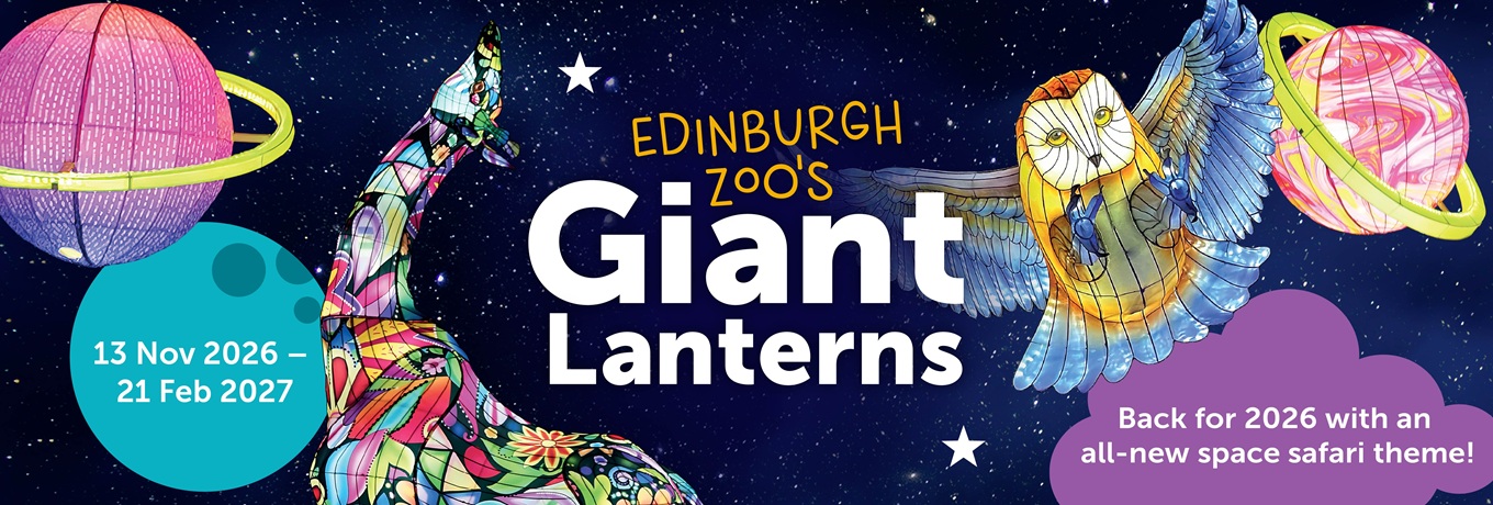 Edinburgh Zoo's Giant Lanterns Edinburgh Zoo's Giant Lanterns